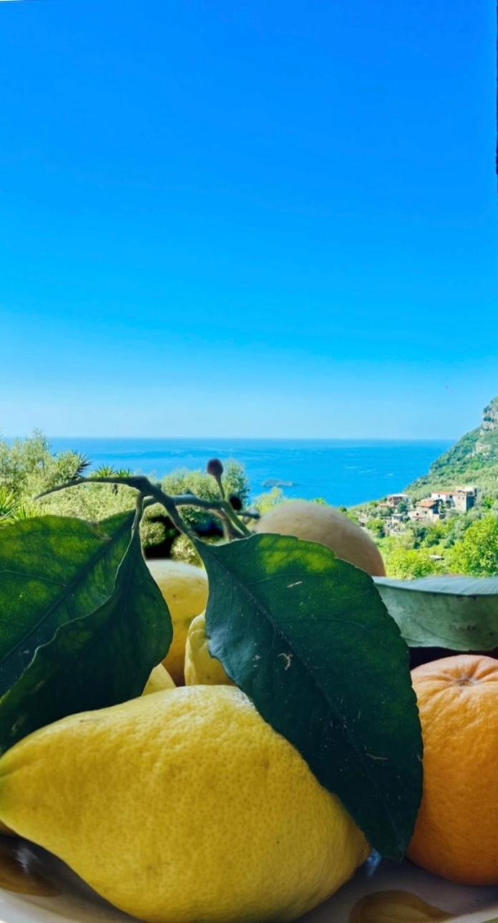 ピアーノ・ディ・ソッレント Wanderlustヴィラ エクステリア 写真